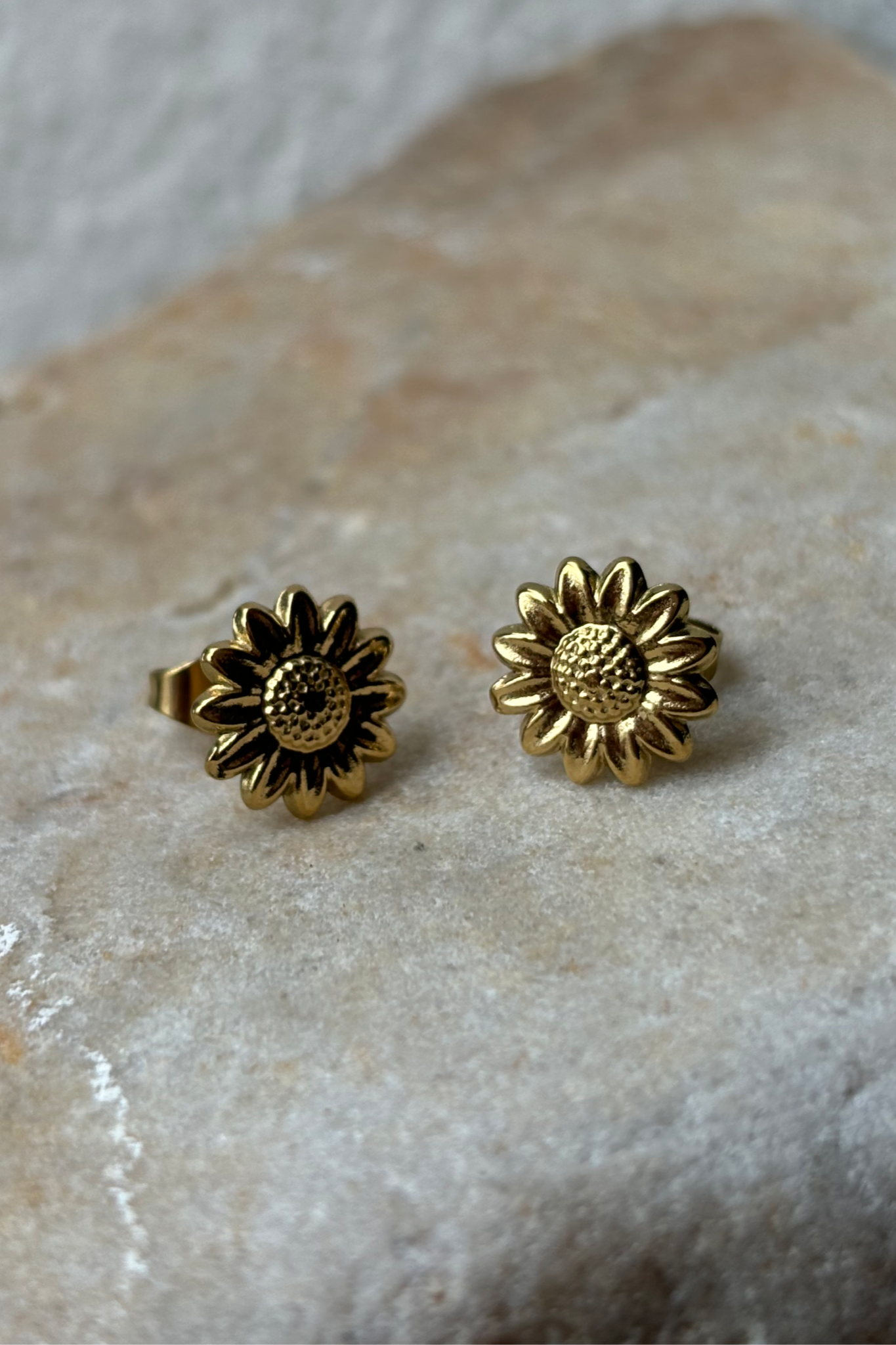 Tournesol | Puces d’oreilles