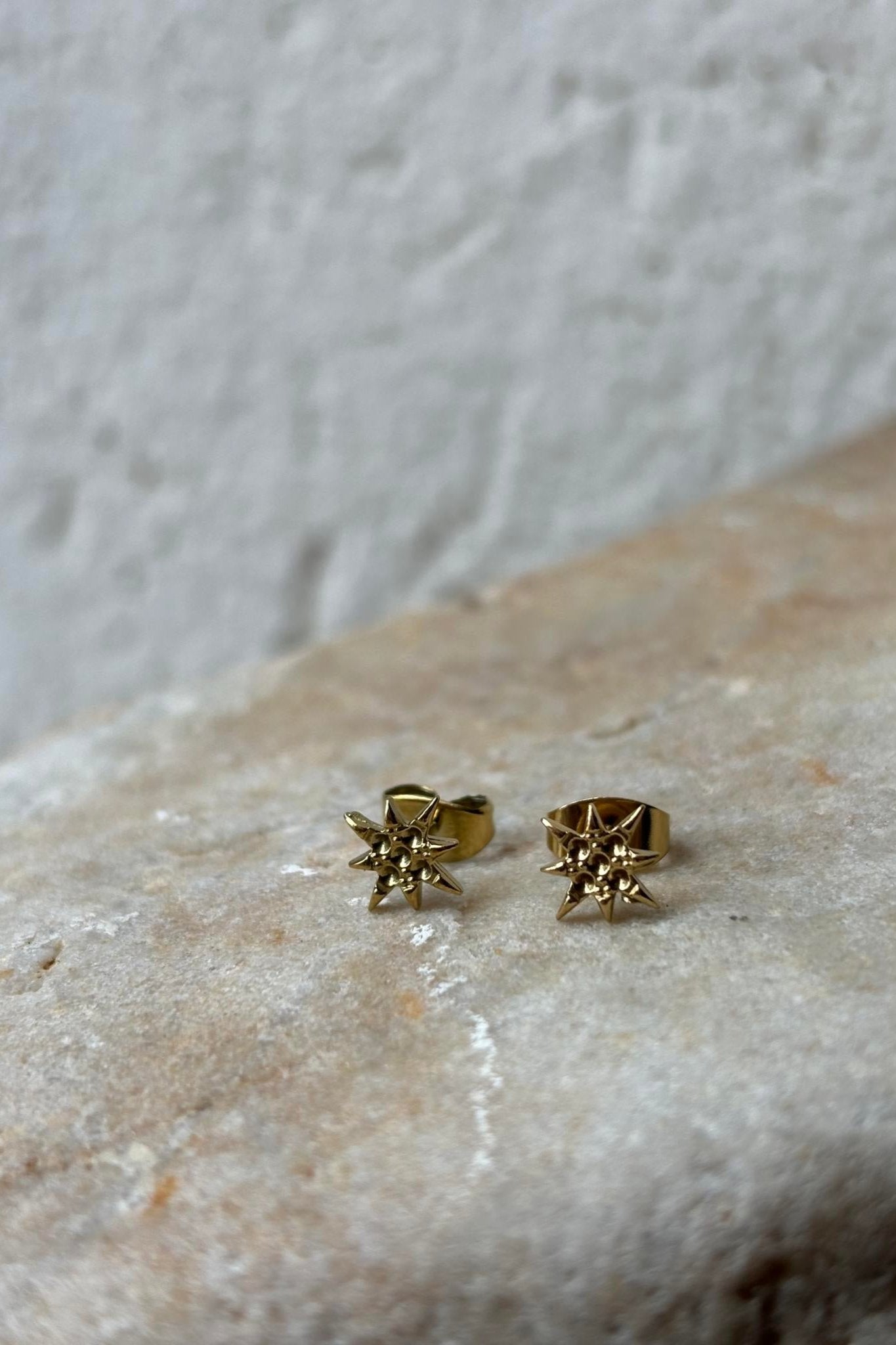 Etoile puces d'oreilles