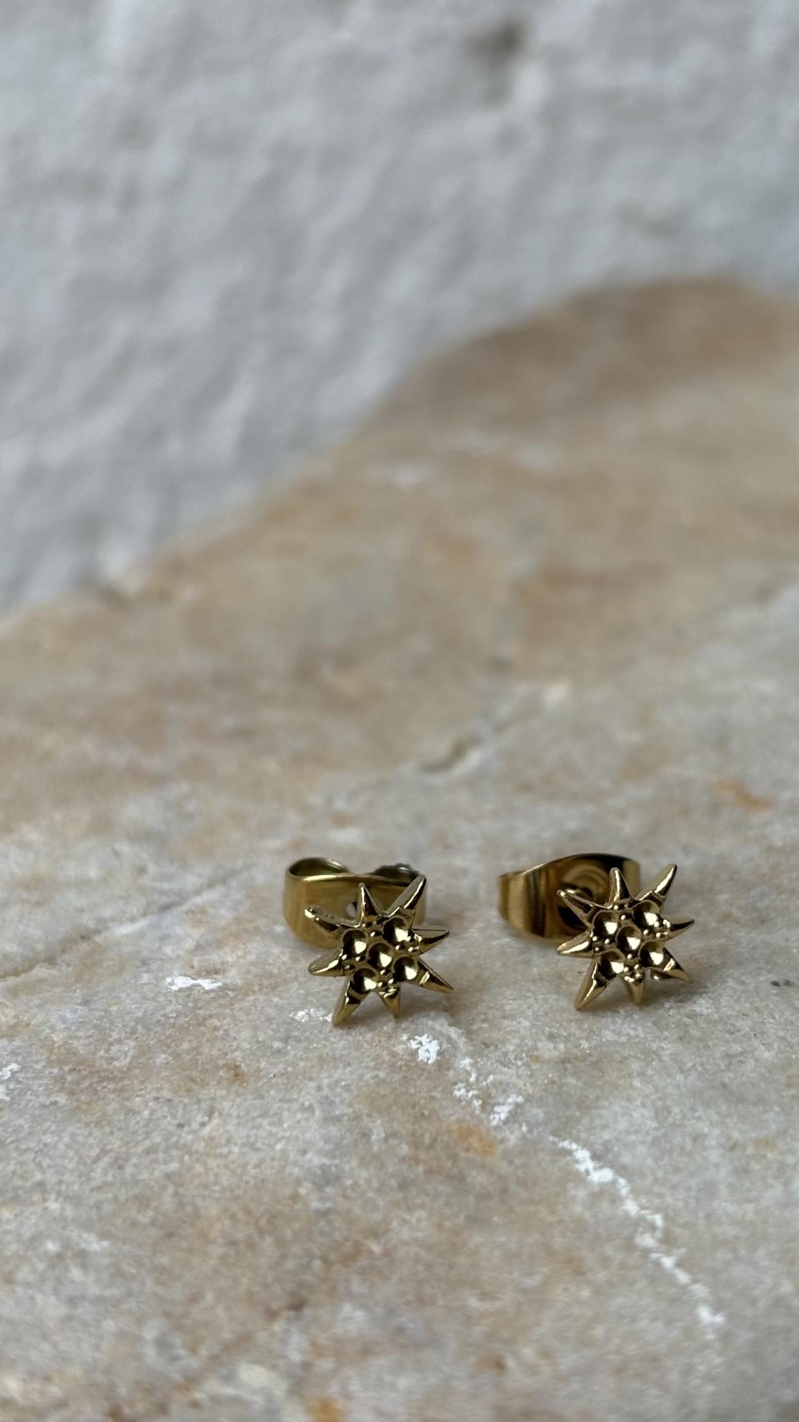 Etoile puces d'oreilles
